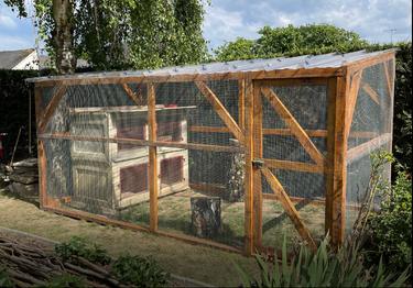 catio pour chat dans un jardin