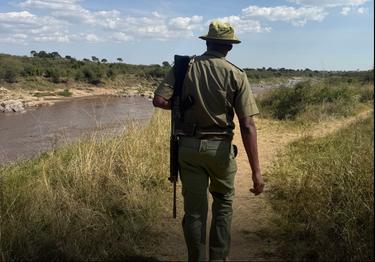 Un ranger marche de dos dans le bush au Kenya