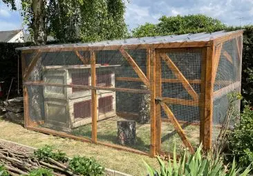 catio pour chats libres dans un jardin